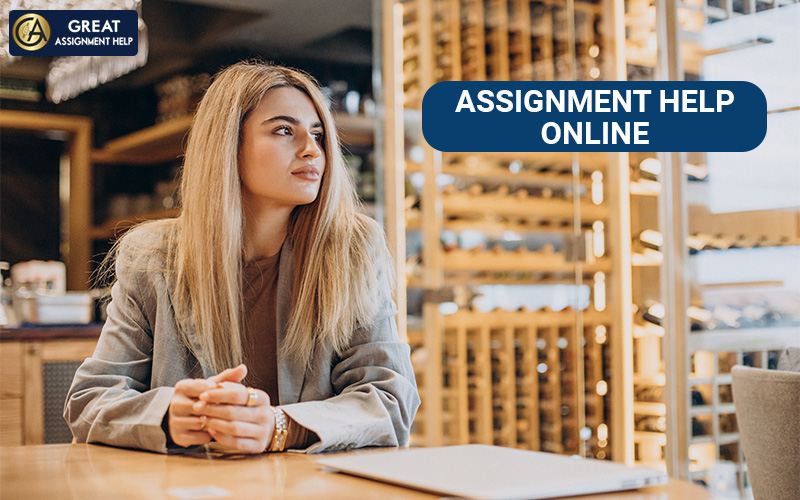 How can Assignment Helpers Assist College Students Settle in the USA?