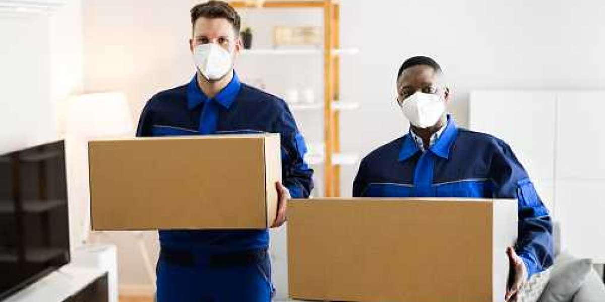 How to prepare your home for professional packers and movers in Indore?