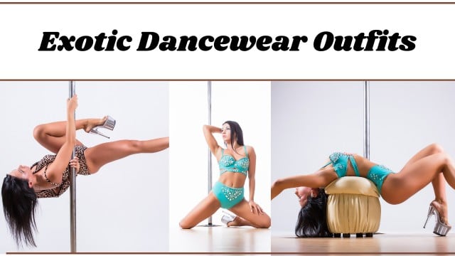 12 Surprising Facts about Strippers - From Exotic Dancewear Outfits to Everything! - TheOmniBuzz