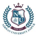 NirwanUniversity Profile Picture